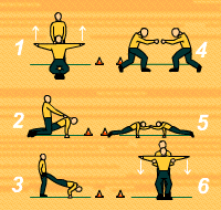 Gráfico de ejercicio Circuito de brazos por parejas