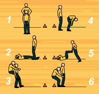 Gráfico de ejercicio Circuito de piernas por parejas