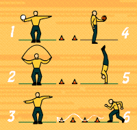 Gráfico de ejercicio Circuito de coordinación