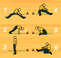 Gráfico de ejercicio Circuito de Flexibilidad