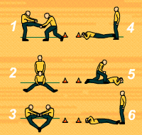Gráfico de ejercicio Circuito de flexibilidad por parejas