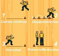 Gráfico de ejercicio Escalón físico