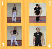Gráfico de ejercicio Movilidad articular general